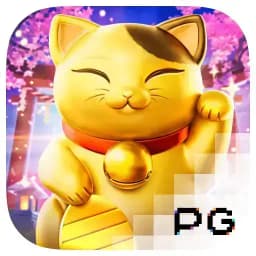 findingnorwalk: Lucky Neko